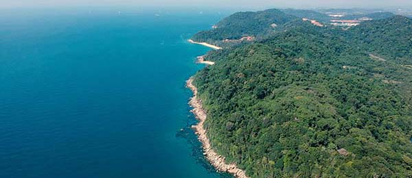 欧乐影院这段越像“已经定了”，越要回到这段话的比较口径一致吗：做法是把评价词移到评论区